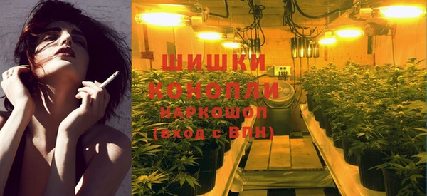ГАЛЛЮЦИНОГЕННЫЕ ГРИБЫ Бородино