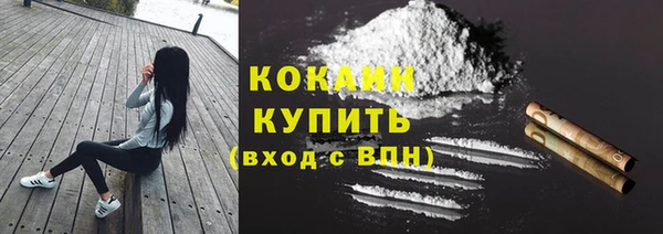 ГАЛЛЮЦИНОГЕННЫЕ ГРИБЫ Бородино