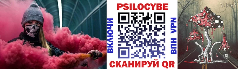 kraken вход Южно-Сухокумск Псилоцибиновые грибы мухоморы