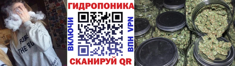 цена наркотик  это состав  Бошки марихуана гибрид  Южно-Сухокумск 